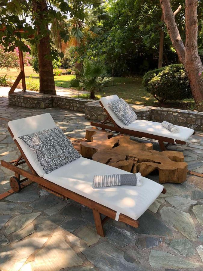 Petrochori Beach House ヴォイドキリア エクステリア 写真